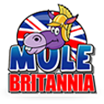 Mule Britannia