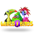 Wired Birds
